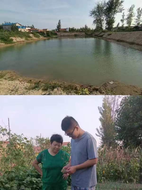六合彩投注