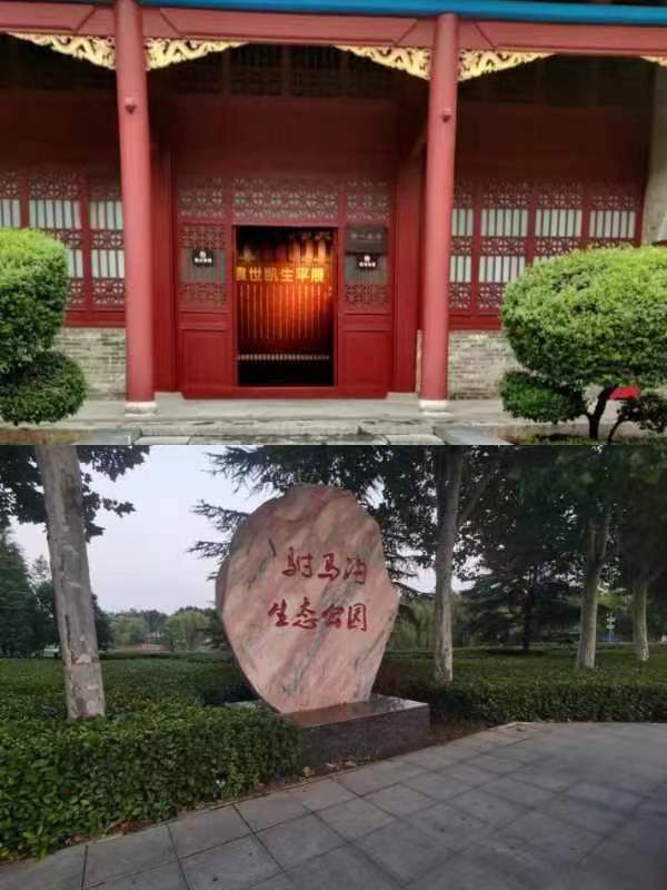六合彩投注