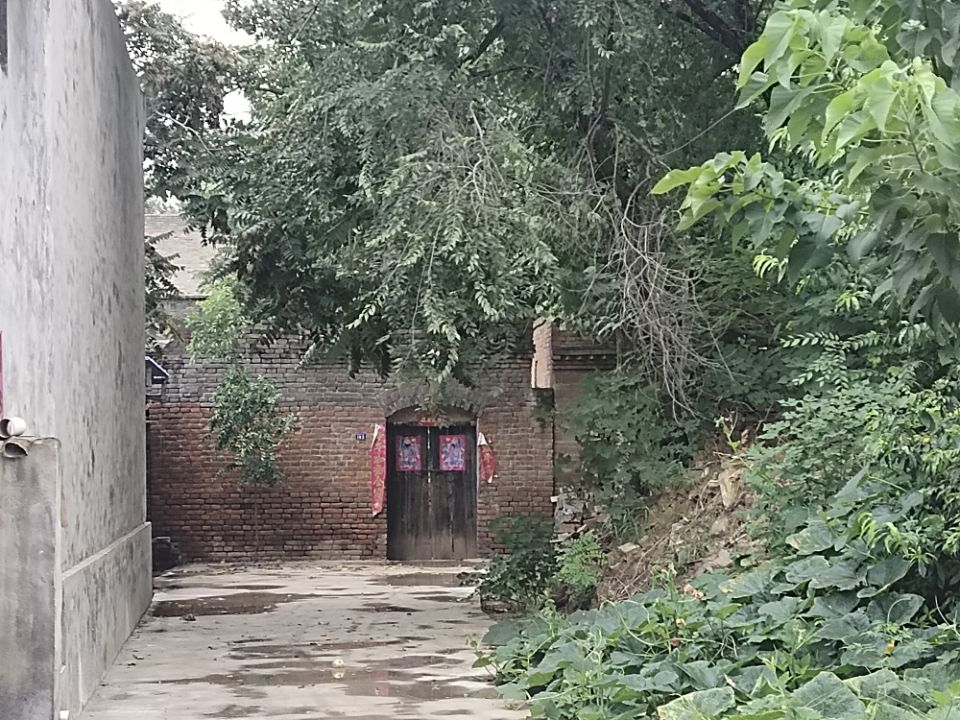 六合彩投注