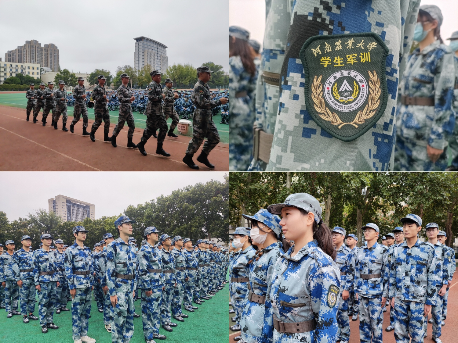 六合彩投注