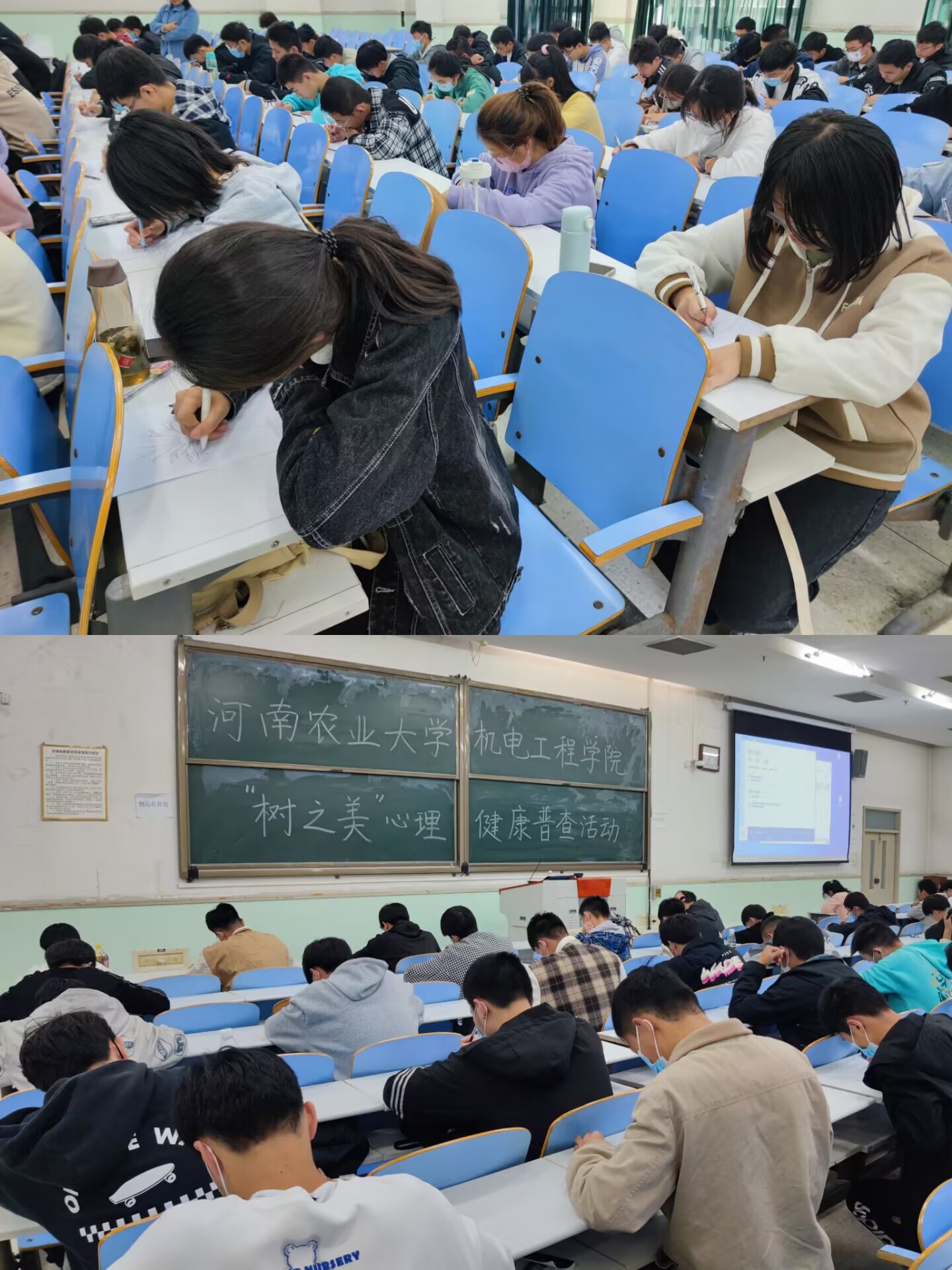 六合彩投注