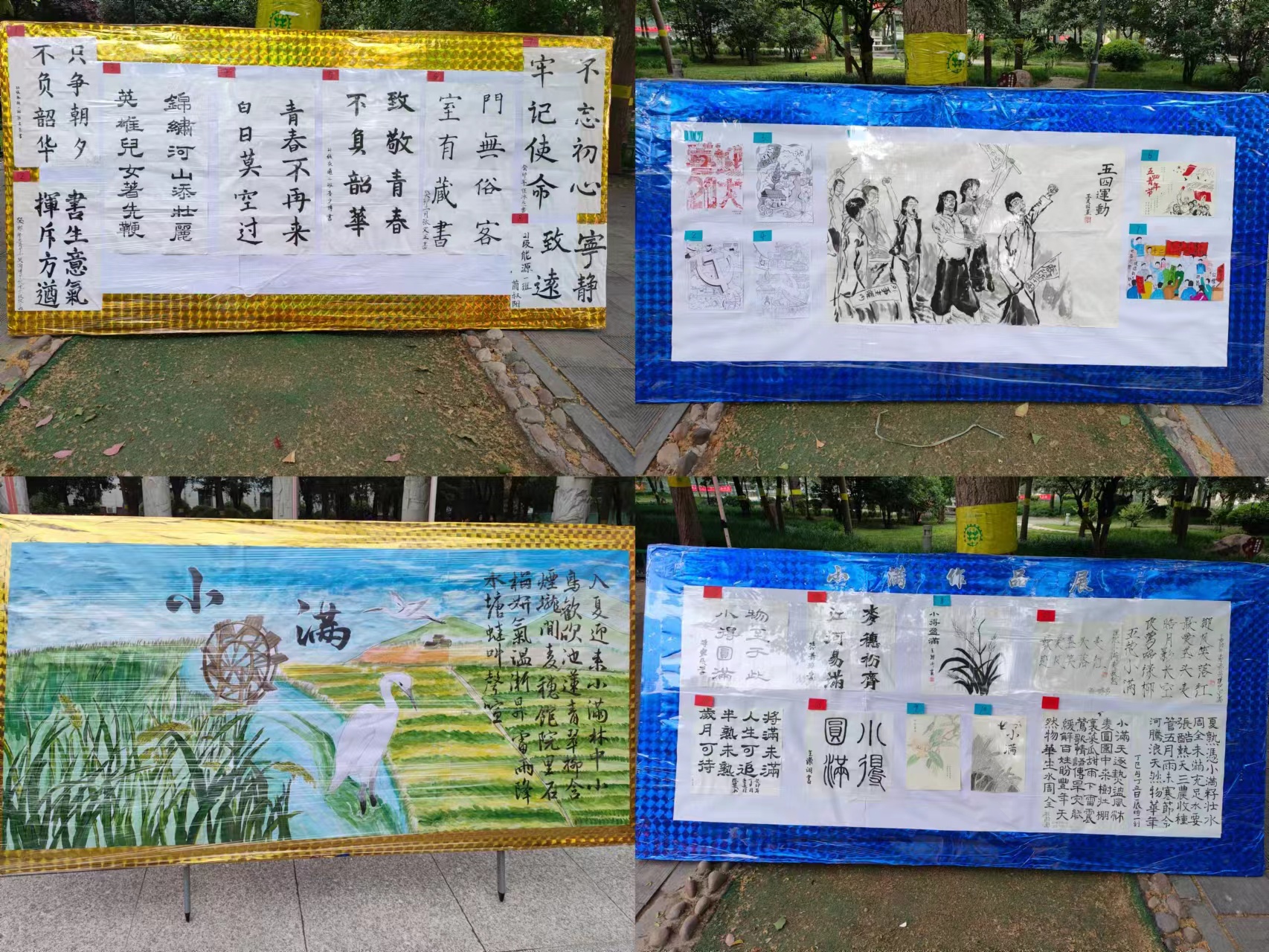 六合彩投注