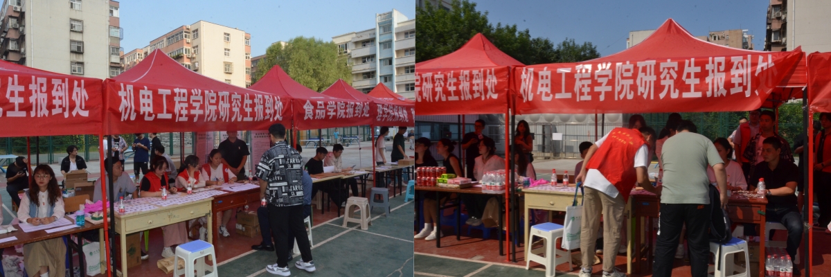 六合彩投注