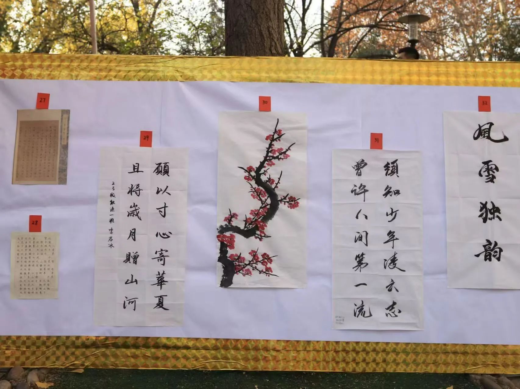 六合彩投注